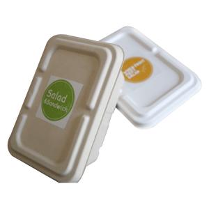 China Recycled Compostable Sugarcane Bagasse Food Container Disposable Plant Pulp factory