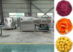 China PLC Controlled Intelligent Fruit Freeze Dryer Fruit Machine factory