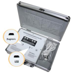 China Free Updated Software Quantum Resonance Magnetic Health Analyzer AH - Q10 CE Approval factory