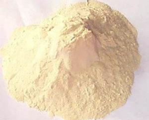 China High Purity Pure Gluten Powder ISO Approval 24 Months Shelf Life factory