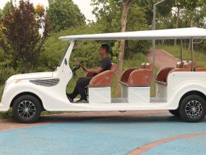 China 11 Person Electric Classic Golf Cart 48 Volt Lithium Battery ODM factory
