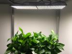 Full Spectrum 240W QB288 Led Quantum Board