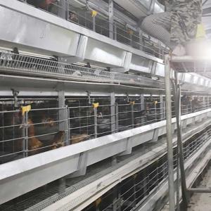 China High Performance Pyramid Chicken Cage , Automatic Poultry Feeding Equipment factory