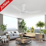 Power Saving DC Motor Plastic Ceiling Fan White Warm Yellow Light