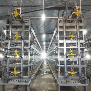 China Hot Galvanized Poultry Farm Laying Hens Equipment System Automatic Battery Layer Chicken Cage factory
