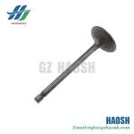 Isuzu Engine Parts Intake Valve 8-94395112-0 8943951120 for Isuzu Npr 4hf1 4hg1
