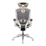 Grey Frame Ergonomic Office Chair Revolving Seating Back Frame