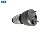 Front Air Suspension Shock Repair Kits 97034305210 For Porsche Panamera