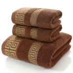 Thickened Absorbent 3pcs/1set Towels for Home Hotel Gift Sustainable 100% Cotton
