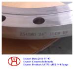 ASTM A182 F44 S31254 254SMO 1.4547 WN SO Blind flange forging disc ring