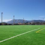 High Standard Football Artificial Turf 45mm 150 Stitches/M Dark Green Artificial