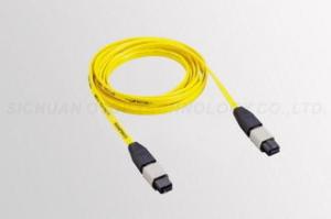 China 12 Fibers In A Single Connector Multimode MPO OHSAS18001 Certification factory