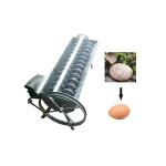 mini electric steamer egg boiler automatic off rapid eggs cooker electric