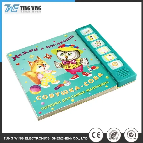 Custom electronic educational toy product showcase