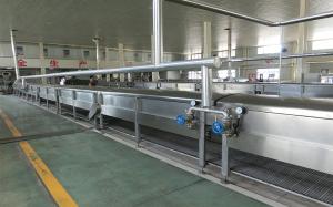 China Automatic PLC Control Industrial Vermicelli Production Line Low Fault Rate factory