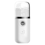 Portable Pocket Mist Steamer USB Rechargeable Nano Facial Mister Mini Face