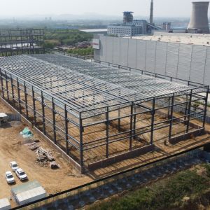 Prefab Steel Granary Warehouse with Double-Layer Q355B Structure