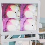 Dental Endoscope With 17 Inch Monitor Wifi Handheld Portable Dental Camera