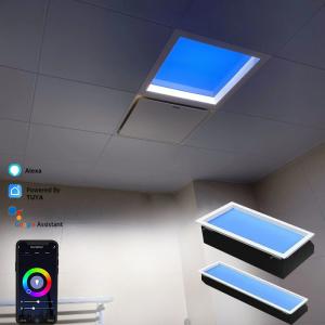 China 3000LM Luminous Flux LED Skylight 3.6A Current for Optimal Illumination factory