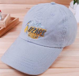 China custom promotional baseball sports caps&amp;golf hats 3D embroidery factory