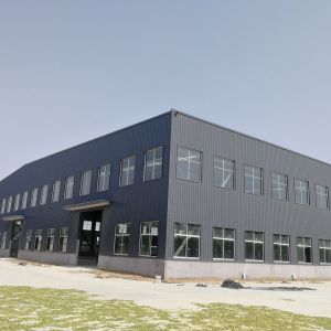 China Prefab Steel Structure Warehouse with Insulated or Single Sheet Cladding factory
