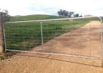 Sheep Fence Panels 37 1/4 inches in height