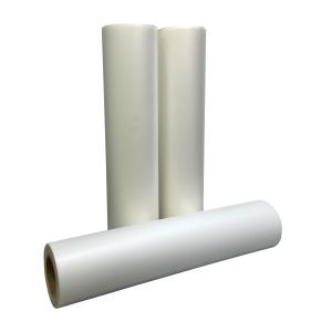 China Heat Transfer Dtf Transfer Paper Sheets ANDEMES Direct Cold Transfer 60cm Roll Film factory