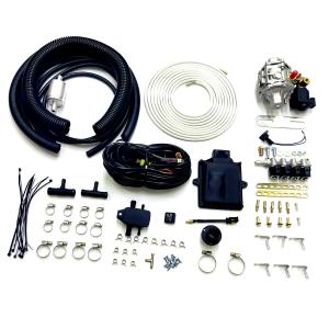 China CNG LPG Cars Multipoint Conversion Kits With 48 Pin ECU IG1 Injector Rail AT12 Reducer factory