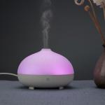 PP Material 80m USB Essential Oil Electronic Aroma Diffuser