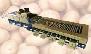 China Integrated Type Automatic Potato Cleaning and Grader Line factory