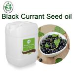 OEM ODM Black Currant Seed Carrier Oil Cold Press For Health Care