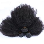 Mongolian Virgin Human Hair Clip In Extensions / Afro Kinky Curly Bundles