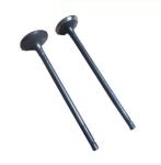 TEM MD339752 MD339754 Mitsubishi 4G18 Intake Exhaust Valve 16v