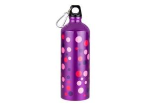 China Outdoor Camping Aluminium Sports Water Bottle With Carabiner Lid factory