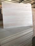 Solid Wood Board Beech Wood Paulownia Wood Coffins for Bleached or Natural