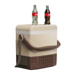 12V DC Camping Car Fridge with Shoulder Belt and Handle Temperature Range -20 10