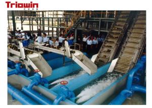 China 1000 Tons / Day Pineapple Processing Line , Fruit Processing Plant Canned factory