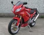 Manual Clutch Double Cylinder Motorcycle 250CC / Electric Starter Four Stroke