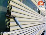 Tubos Sem Costura de Aço Inoxidável e Tubos ASTM A312 TP316/316L Decapado e