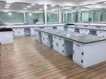 Customizable lab island bench designed to meet modern requirements