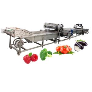 China High Pressure Washing Joyshine Bubble Hash Washing Machine for Vegetable Processing Plant factory