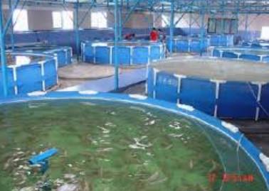 Corrosion Resistance Fiberglass Fish Tank