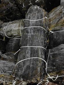 China Organic Phaeophyceae Brown Kelp Green Sprouts Shoots Superfood For Umami Rich Meals Japanese Korean Salad Soup factory