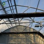 Hydrophonic 8m Automated Blackout Greenhouse For Medicinal Plants