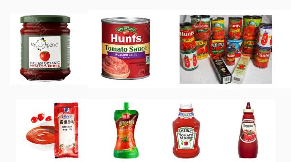 304 Stainless Steel Tomato Ketchup Processing Machine 5T/H Convenient After Care