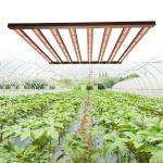 600w Samsung LED Daisy Chain Grow Lights For Seedlings