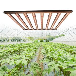China 600w Samsung LED Daisy Chain Grow Lights For Seedlings factory