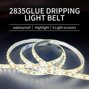 China 12V/24V SMD 2835 LED Strip Inductive Switch Flexible Soft Neon Strip Light factory