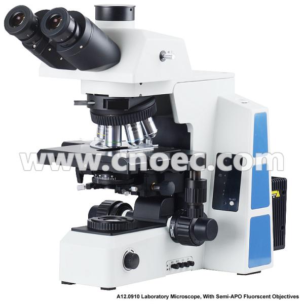 China APO Trinocular Compound Optical Microscope with Halogen Lamp Illumination factory