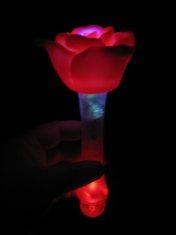 China magic rose factory